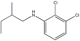 2,3-dichloro-N-(2-methylbutyl)aniline 구조식 이미지