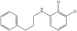 2,3-dichloro-N-(3-phenylpropyl)aniline 구조식 이미지