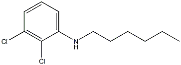 2,3-dichloro-N-hexylaniline Structure