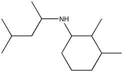 2,3-dimethyl-N-(4-methylpentan-2-yl)cyclohexan-1-amine Structure