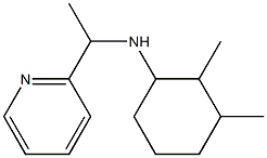 2,3-dimethyl-N-[1-(pyridin-2-yl)ethyl]cyclohexan-1-amine Structure