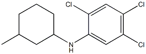 2,4,5-trichloro-N-(3-methylcyclohexyl)aniline Structure