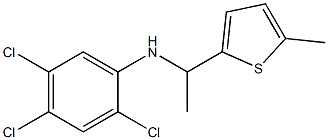 2,4,5-trichloro-N-[1-(5-methylthiophen-2-yl)ethyl]aniline Structure