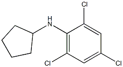2,4,6-trichloro-N-cyclopentylaniline Structure