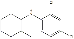 2,4-dichloro-N-(2-methylcyclohexyl)aniline Structure