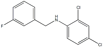 2,4-dichloro-N-[(3-fluorophenyl)methyl]aniline 구조식 이미지
