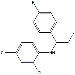 2,4-dichloro-N-[1-(4-fluorophenyl)propyl]aniline 구조식 이미지