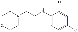 2,4-dichloro-N-[2-(morpholin-4-yl)ethyl]aniline 구조식 이미지