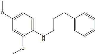 2,4-dimethoxy-N-(3-phenylpropyl)aniline 구조식 이미지
