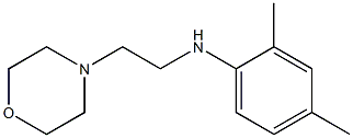 2,4-dimethyl-N-[2-(morpholin-4-yl)ethyl]aniline 구조식 이미지