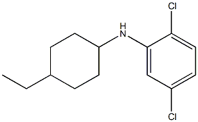 2,5-dichloro-N-(4-ethylcyclohexyl)aniline 구조식 이미지