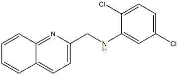 2,5-dichloro-N-(quinolin-2-ylmethyl)aniline Structure