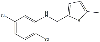 2,5-dichloro-N-[(5-methylthiophen-2-yl)methyl]aniline Structure