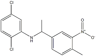 2,5-dichloro-N-[1-(4-methyl-3-nitrophenyl)ethyl]aniline Structure