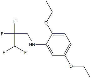 2,5-diethoxy-N-(2,2,3,3-tetrafluoropropyl)aniline Structure