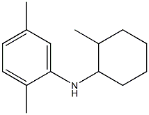2,5-dimethyl-N-(2-methylcyclohexyl)aniline 구조식 이미지
