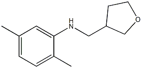 2,5-dimethyl-N-(oxolan-3-ylmethyl)aniline 구조식 이미지