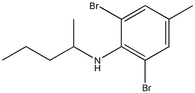 2,6-dibromo-4-methyl-N-(pentan-2-yl)aniline Structure