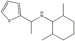 2,6-dimethyl-N-[1-(thiophen-2-yl)ethyl]cyclohexan-1-amine 구조식 이미지