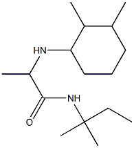 2-[(2,3-dimethylcyclohexyl)amino]-N-(2-methylbutan-2-yl)propanamide 구조식 이미지