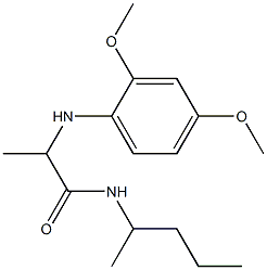 2-[(2,4-dimethoxyphenyl)amino]-N-(pentan-2-yl)propanamide 구조식 이미지