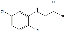 2-[(2,5-dichlorophenyl)amino]-N-methylpropanamide 구조식 이미지