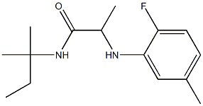 2-[(2-fluoro-5-methylphenyl)amino]-N-(2-methylbutan-2-yl)propanamide Structure