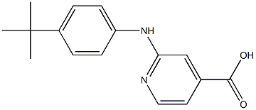 2-[(4-tert-butylphenyl)amino]pyridine-4-carboxylic acid 구조식 이미지