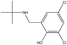 2-[(tert-butylamino)methyl]-4,6-dichlorophenol Structure
