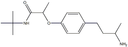 2-[4-(3-aminobutyl)phenoxy]-N-tert-butylpropanamide 구조식 이미지