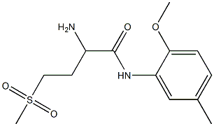 2-amino-4-methanesulfonyl-N-(2-methoxy-5-methylphenyl)butanamide Structure