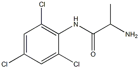 2-amino-N-(2,4,6-trichlorophenyl)propanamide Structure