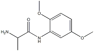 2-amino-N-(2,5-dimethoxyphenyl)propanamide 구조식 이미지