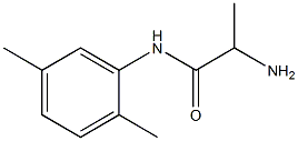 2-amino-N-(2,5-dimethylphenyl)propanamide 구조식 이미지