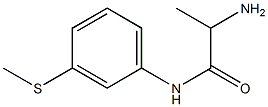 2-amino-N-[3-(methylthio)phenyl]propanamide 구조식 이미지