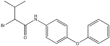 2-bromo-3-methyl-N-(4-phenoxyphenyl)butanamide Structure