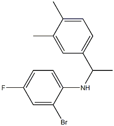 2-bromo-N-[1-(3,4-dimethylphenyl)ethyl]-4-fluoroaniline Structure