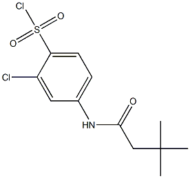 2-chloro-4-(3,3-dimethylbutanamido)benzene-1-sulfonyl chloride Structure