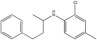 2-chloro-4-methyl-N-(4-phenylbutan-2-yl)aniline 구조식 이미지