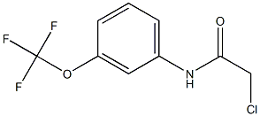 2-chloro-N-[3-(trifluoromethoxy)phenyl]acetamide 구조식 이미지