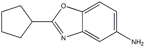 2-cyclopentyl-1,3-benzoxazol-5-amine Structure