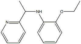 2-ethoxy-N-[1-(pyridin-2-yl)ethyl]aniline 구조식 이미지