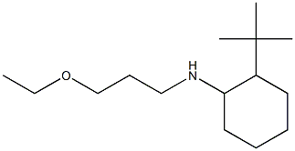 2-tert-butyl-N-(3-ethoxypropyl)cyclohexan-1-amine 구조식 이미지