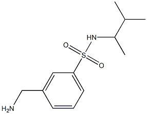 3-(aminomethyl)-N-(3-methylbutan-2-yl)benzene-1-sulfonamide Structure