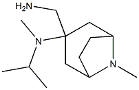 3-(aminomethyl)-N,8-dimethyl-N-(propan-2-yl)-8-azabicyclo[3.2.1]octan-3-amine Structure