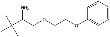 3,3-dimethyl-1-(2-phenoxyethoxy)butan-2-amine 구조식 이미지