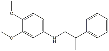 3,4-dimethoxy-N-(2-phenylpropyl)aniline 구조식 이미지