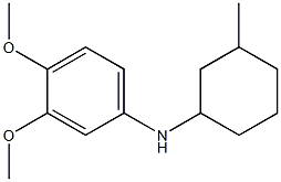 3,4-dimethoxy-N-(3-methylcyclohexyl)aniline Structure