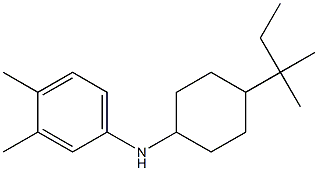3,4-dimethyl-N-[4-(2-methylbutan-2-yl)cyclohexyl]aniline 구조식 이미지