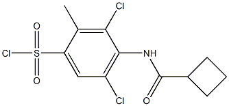 3,5-dichloro-4-cyclobutaneamido-2-methylbenzene-1-sulfonyl chloride Structure